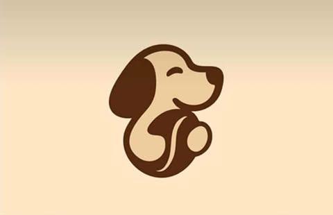 Design Fotografia Cachorro 2